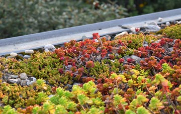 the cost of Vulcan Village green roof installation