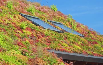 Vulcan Village living roof systems